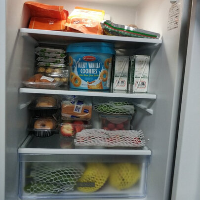 TCLBCD-210TWZ50典雅银冰箱|TCLBCD-210TWZ50典雅银冰箱真实使用感受？真相必看