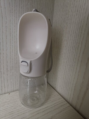 宠物水壶