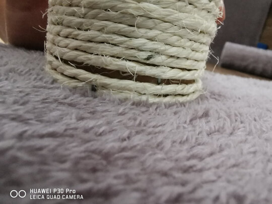 猫爬架