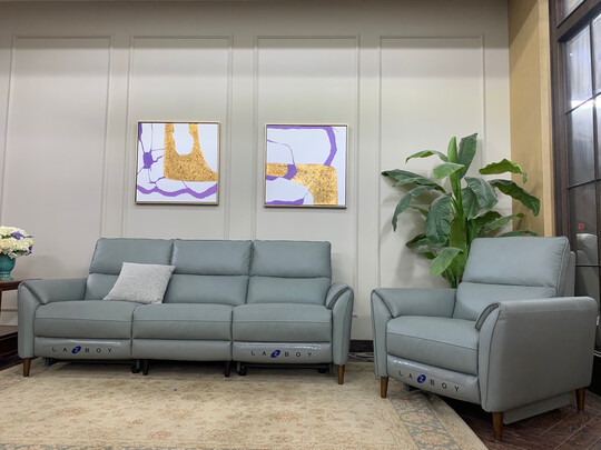 乐至宝GN.611是哪里生产的，值吗