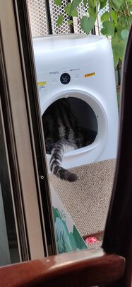 猫砂盆