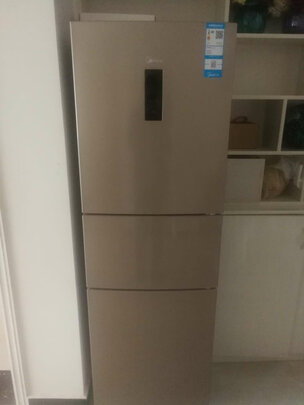 冰箱|美的BCD-258WTPZM(E)好吗？图文评测曝光