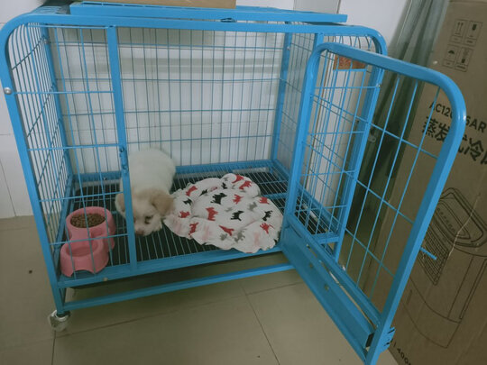 狗笼