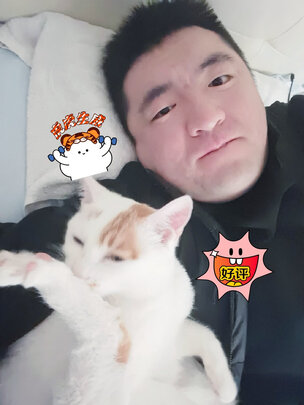 猫粮