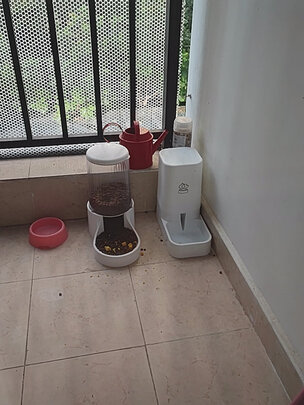 宠物自动喂食器