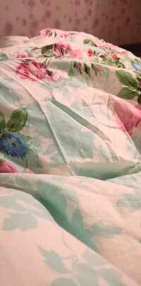 京东京造95西伯利亚进口鹅绒被 1.8m 1300g极度喜欢感受反馈