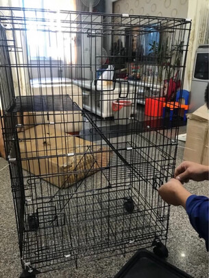  猫笼