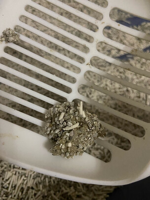 膨润土猫砂