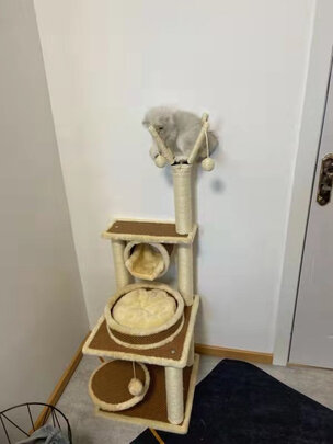 猫爬架