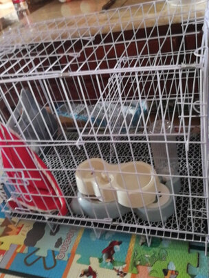  猫笼