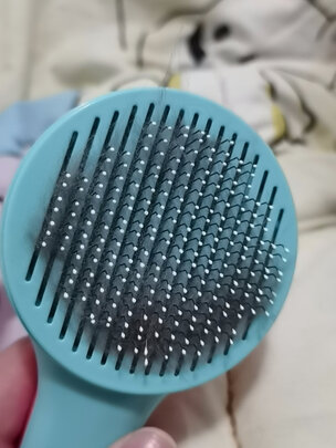 猫狗梳子