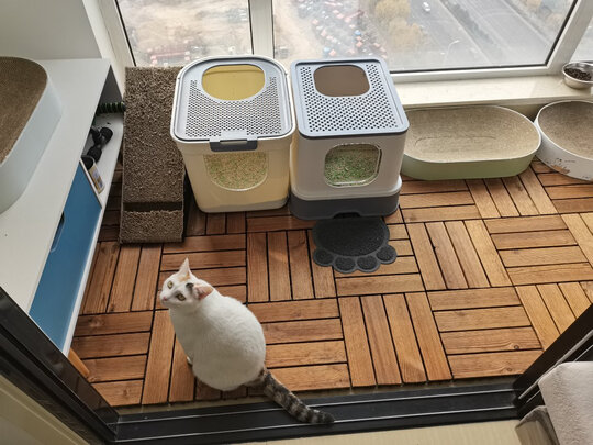 猫砂盆