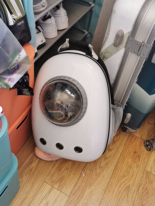 猫包