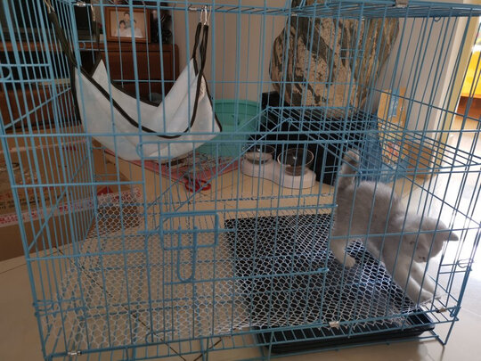  猫笼