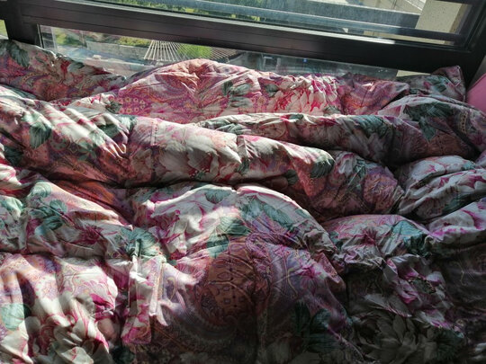 富安娜家纺羽绒被选购攻略需注意细节