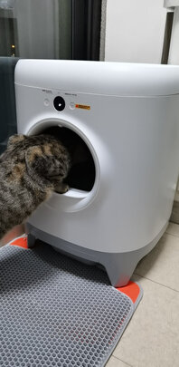 猫砂盆