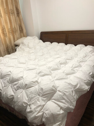 富安娜皇家贵族鹅绒冬厚被睿致选购容忽然的三大要点