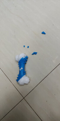 狗狗玩具