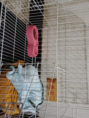 猫笼