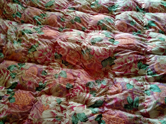 富安娜家纺羽绒被选购攻略需注意细节