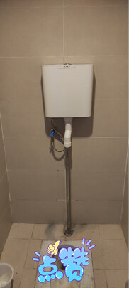 蹲便器