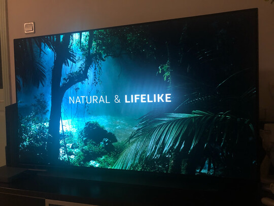 扒一扒LGOLED48CXPCA怎么样?踩雷了??