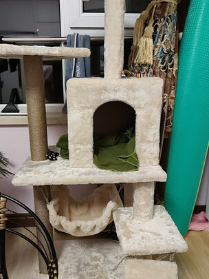 猫爬架