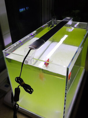 鱼缸灯led灯