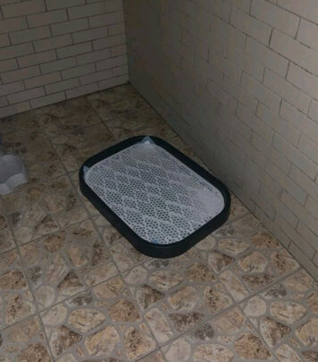 狗厕所