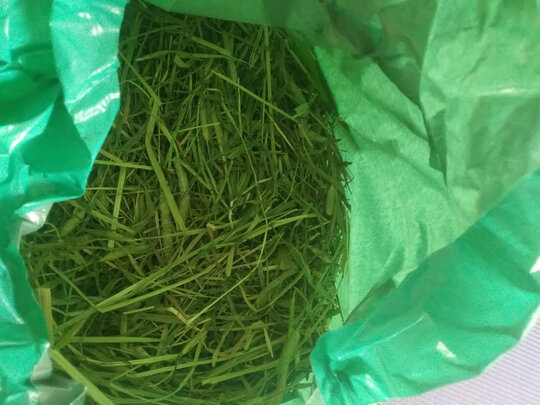 兔粮