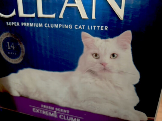 膨润土猫砂
