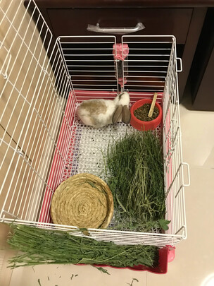 兔粮