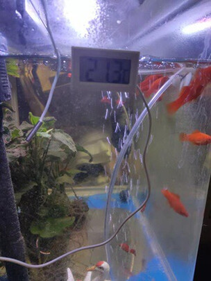 鱼缸温度计