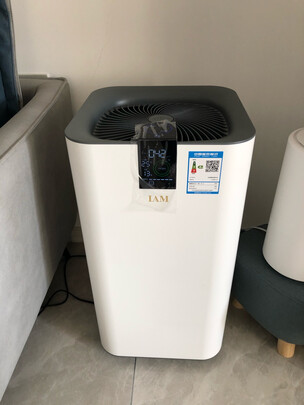 iam空气净化器怎么样?上手一周后悔了是吗？