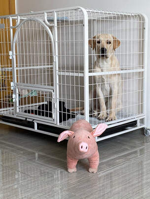  狗笼