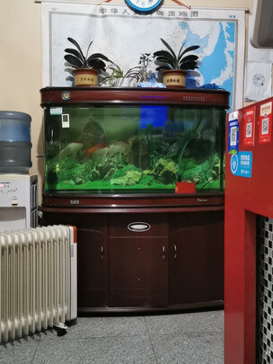 鱼缸净水剂