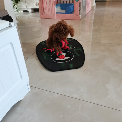 狗狗鞋