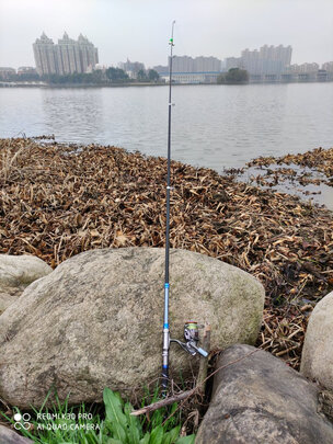 海竿