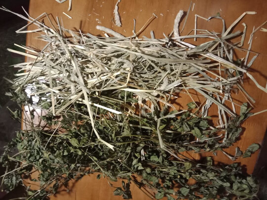 兔粮