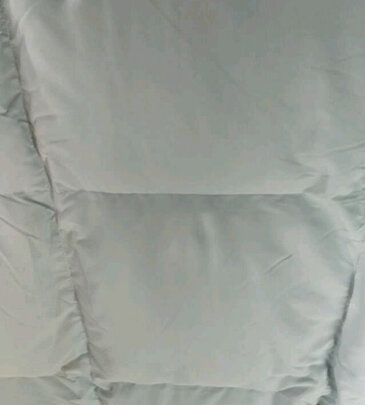 富安娜米菲尔·轻潮超柔鹅绒冬厚被 灰一个月后开始后悔了诉说原因