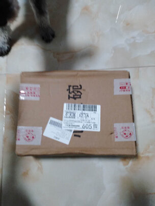 猫碗狗碗