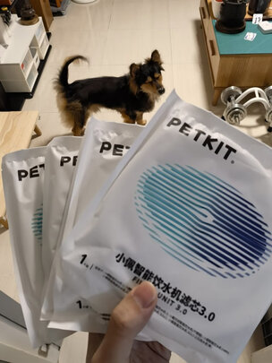 宠物饮水机