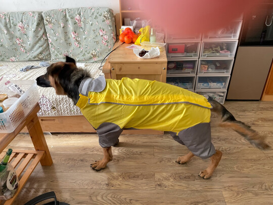 狗狗雨衣
