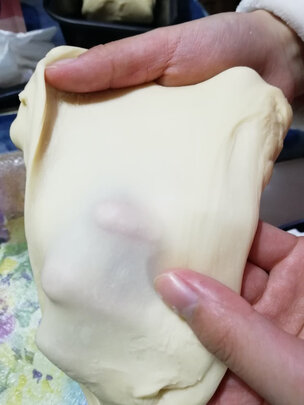 厨师机|柏翠PE4500厨师机独家揭秘评测真相,不看后悔!