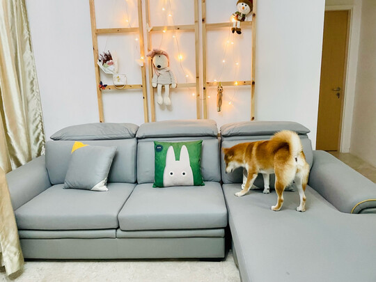 林氏木业布艺沙发评判质量差有依据吗?