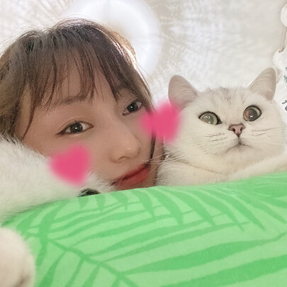 猫粮