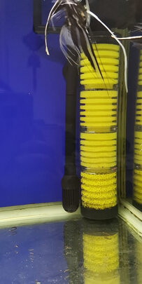 鱼缸潜水泵