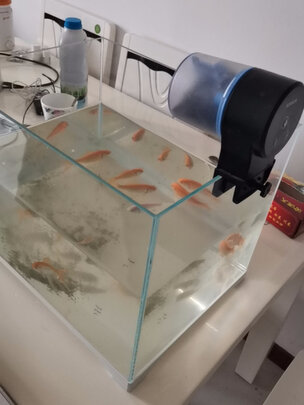 桌面鱼缸