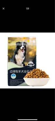 狗粮