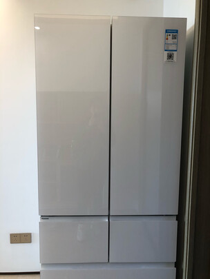 冰箱|参考剖析松下NR-EW45TGA-W冰箱怎么样?深度测评剖析